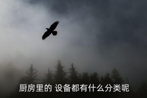厨房 设备,厨房设备经济指标如何?