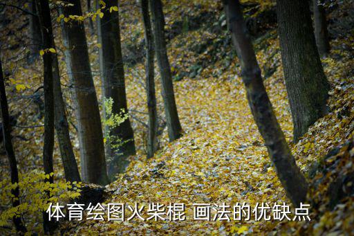 体育器材的画法怎么画,体育画火柴棍画法（一）