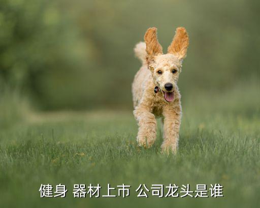 健身 器材上市 公司龙头是谁