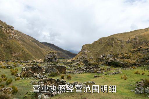 营业执照经营范围明细