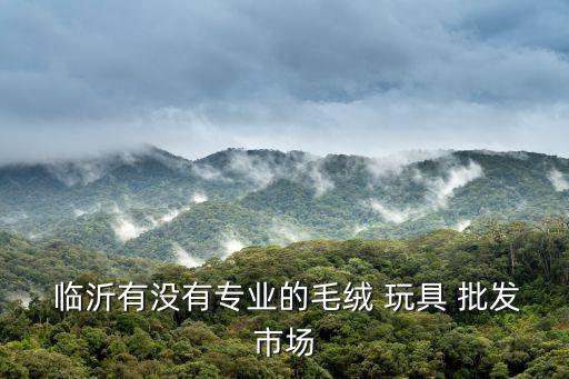 临沂玩具批发10一斤,卖玩具利润一天3000