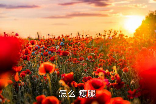 体育用品弓箭怎么瘦腿,坚持瘦腿秘诀
