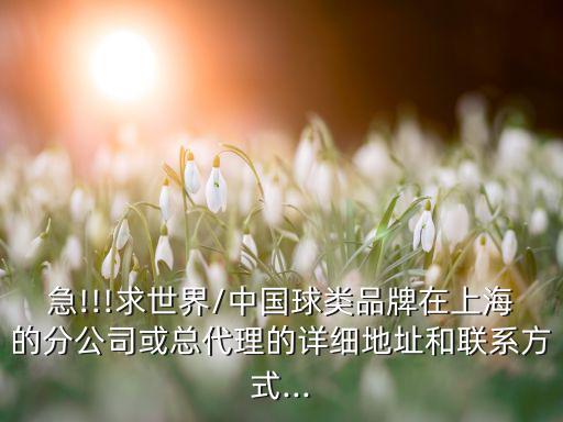急!!!求世界/中国球类品牌在上海的分公司或总代理的详细地址和联系方式...