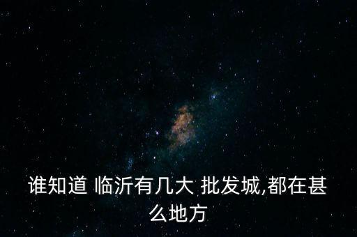 谁知道 临沂有几大 批发城,都在甚么地方