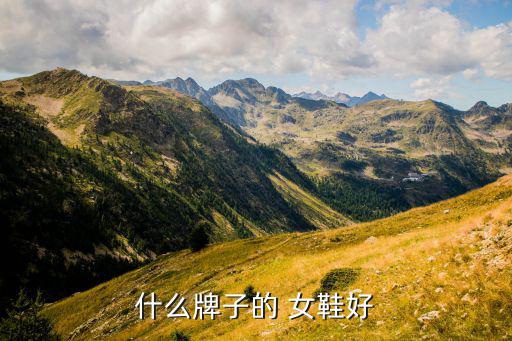 女鞋品牌排行榜前十运动鞋,时尚女鞋品牌排行榜前十