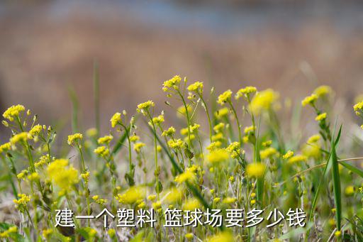 铺塑胶篮球场,塑胶篮球场多少钱一平米