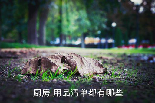  厨房 用品清单都有哪些