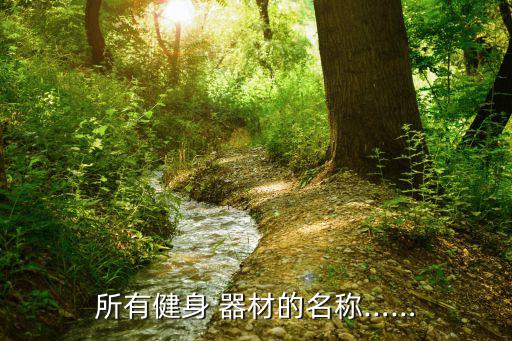 体育器材购物清单图片