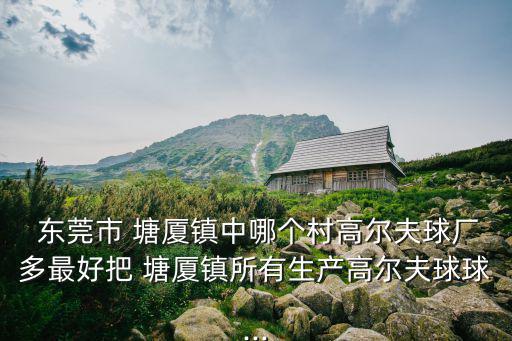 东莞塘厦体育用品城在哪里