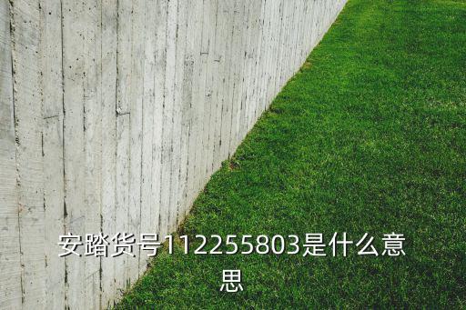 安踏货号112255803是什么意思
