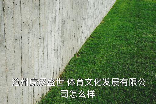  沧州康溪盛世 体育文化发展有限公司怎么样