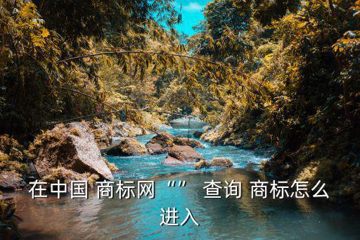 在中国 商标网“” 查询 商标怎么进入