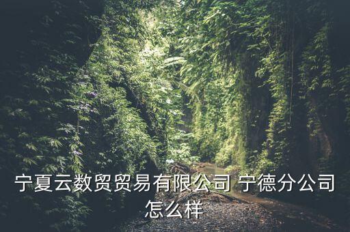 宁夏云数贸贸易有限公司 宁德分公司怎么样
