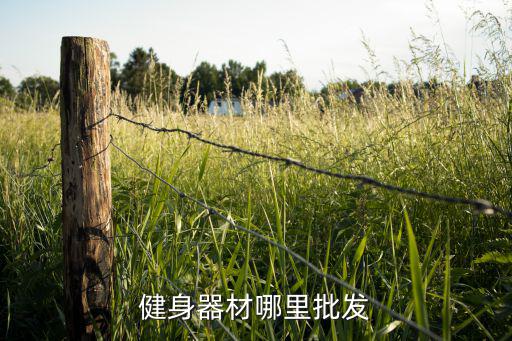 健身器材哪里批发