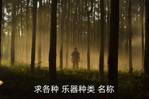 小学音乐课乐器种类名称图片大全