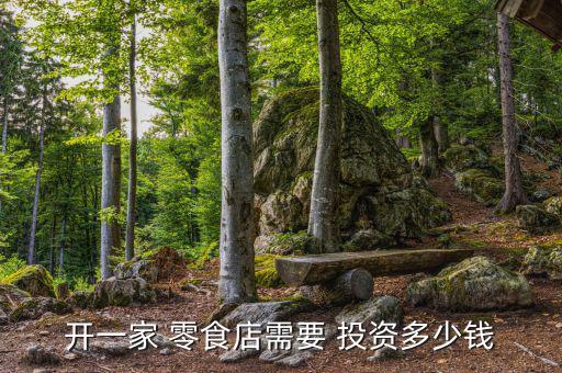开一家 零食店需要 投资多少钱