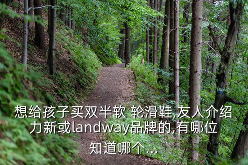 轮滑体育用品厂商有哪些