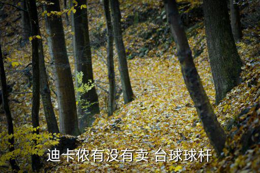 广州台球用品一条街天河