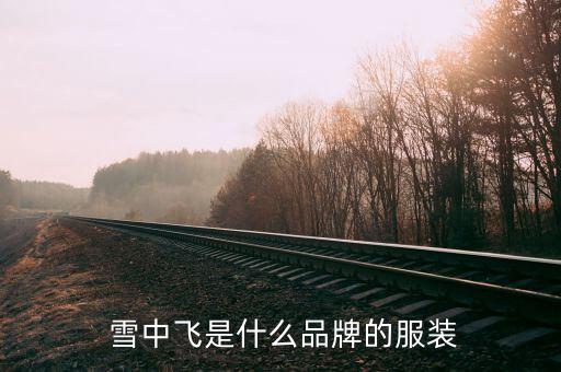雪中飞商标授权多少钱,商标授权价格一般多少钱