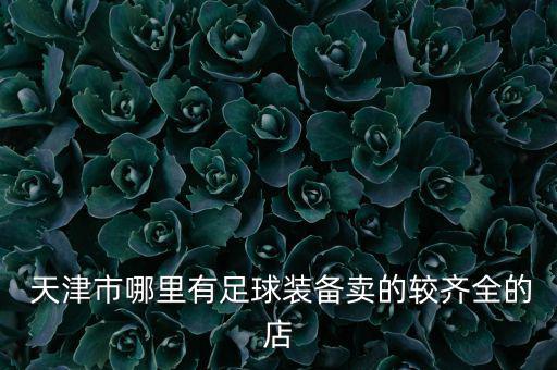 天津哪里有体育用品卖,天津卖体育用品的集中地