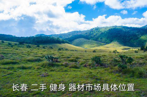 长春 二手 健身 器材市场具体位置