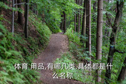 省心的体育用品有哪些,文化体育用品及器材包括哪些