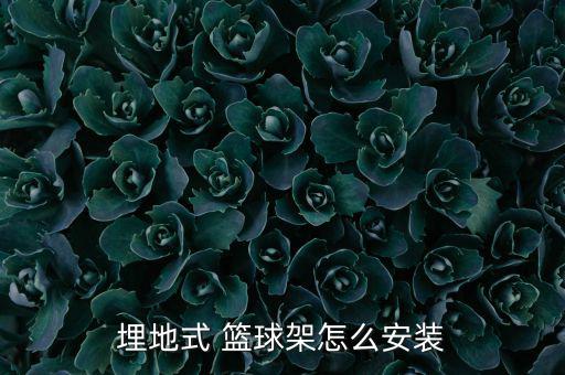 篮球架安装电话,m034篮球stand需要专业人士安装