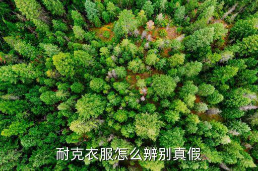 体育用品打什么标签,文化体育用品包括什么
