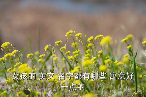 女孩的 英文 名字都有哪些 寓意好一点的