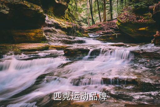 匹克运动品牌