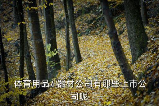  体育用品/ 器材公司有那些上市公司呢
