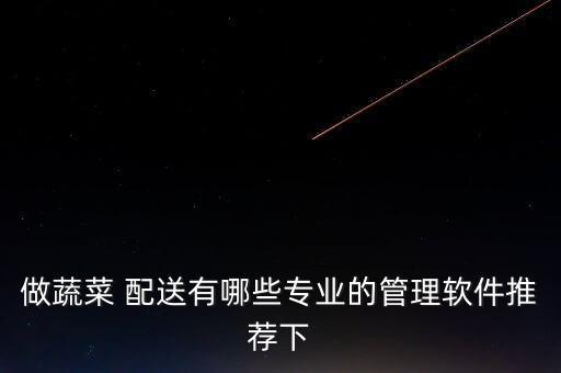 做蔬菜 配送有哪些专业的管理软件推荐下