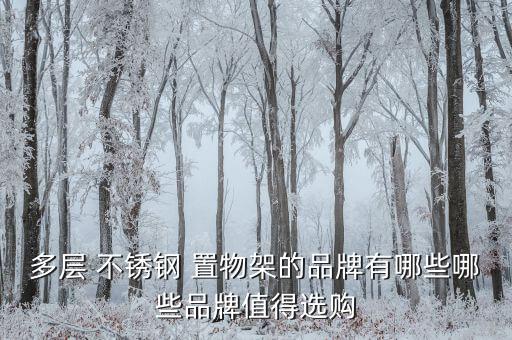 厨房三层不锈钢置物架304加厚,304不锈钢置物架十大名牌厨房专用