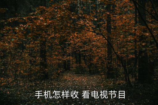  手机怎样收 看电视节目