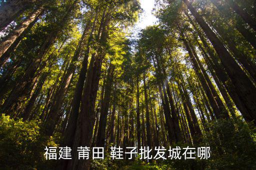 莆田鞋子体育用品店在哪里,莆田鞋子批发市场白天送晚上取货