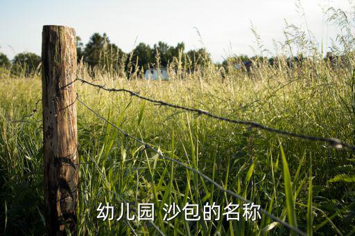  幼儿园 沙包的名称