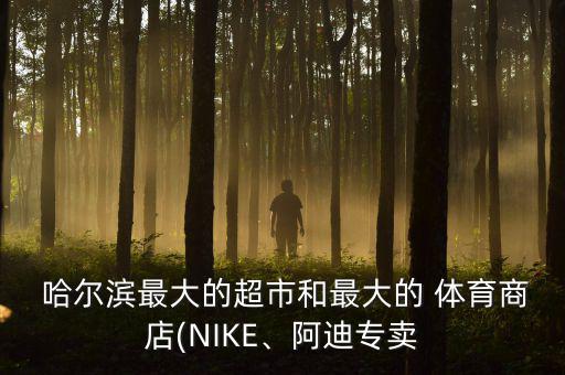  哈尔滨最大的超市和最大的 体育商店(NIKE、阿迪专卖