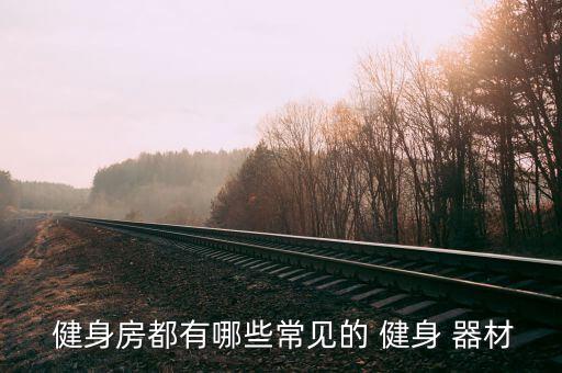  健身房都有哪些常见的 健身 器材
