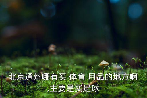 北京市体育用品批发市场,郑州体育用品批发市场在哪里