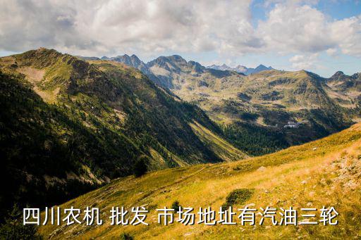 华阳批发市场在哪里,华阳电动车批发市场地址