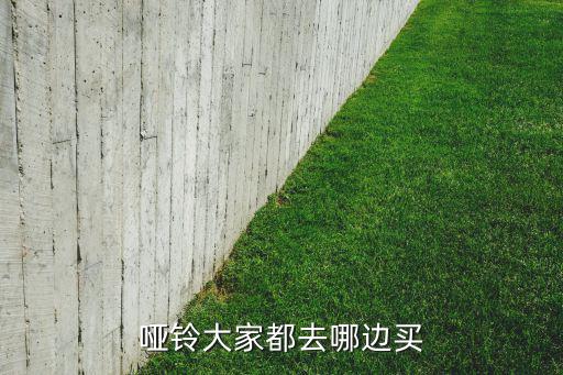 哑铃大家都去哪边买