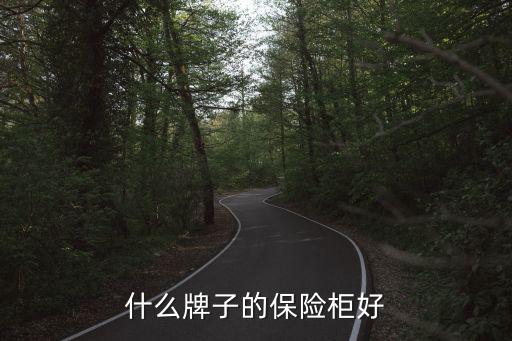 什么牌子的保险柜好
