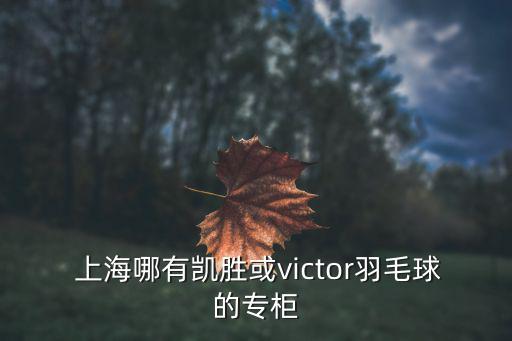 上海体育用品商店在哪里,大连绿茵体育用品商店