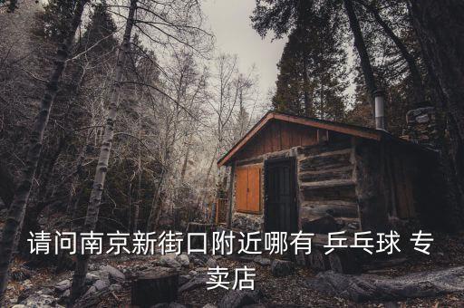请问南京新街口附近哪有 乒乓球 专卖店