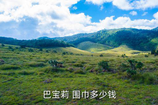 巴宝莉官网中国官方网围巾