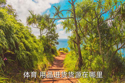 轻功体育用品在哪里买,临沂批发市场体育用品种类齐全价格便宜
