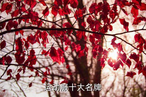 运动服十大名牌