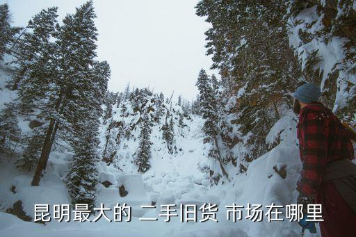 昆明最大的 二手旧货 市场在哪里
