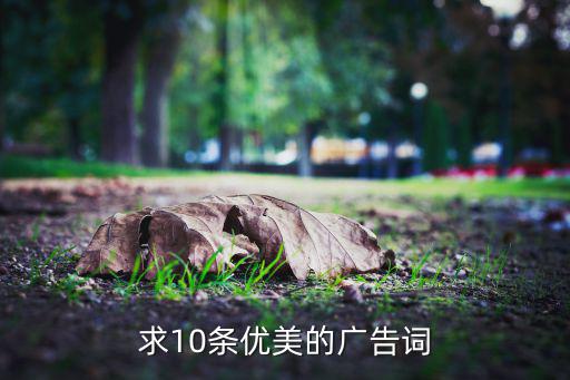 求10条优美的广告词