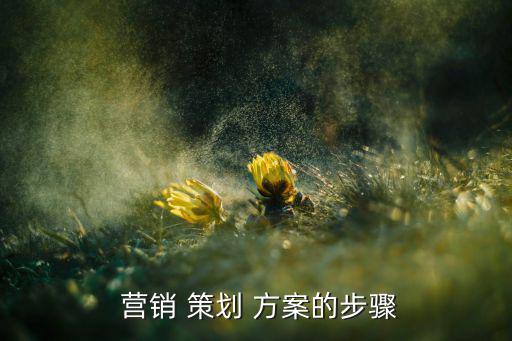  营销 策划 方案的步骤